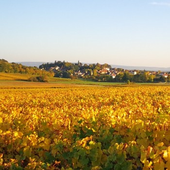 Office de Tourisme Sud Côte Chalonnaise